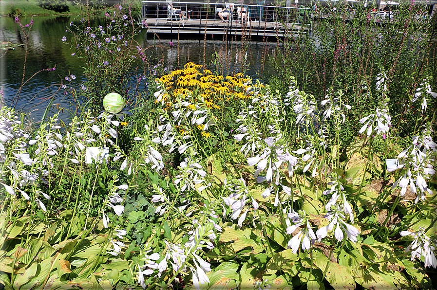 foto Giardini Trauttmansdorff - Giardini acquatici